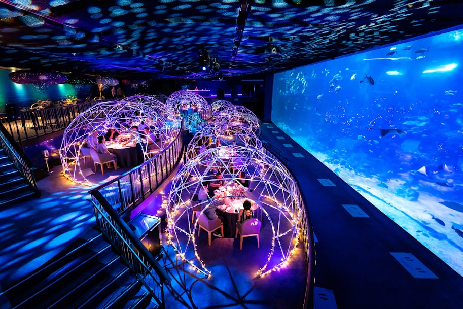 New experiential dining at Aqua Gastronomy