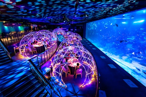 New experiential dining at Aqua Gastronomy