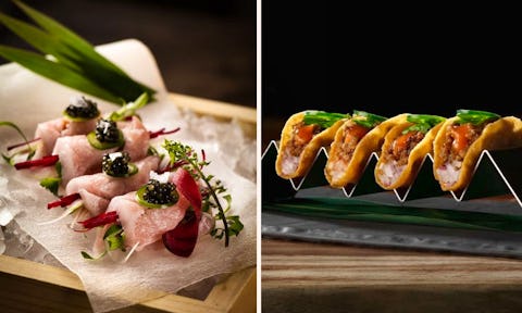 16 of the best Japanese restaurants in Singapore