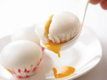 Canton Paradise at Northpoint City