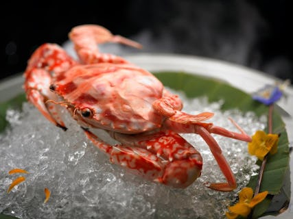 Paradise Classic at Suntec City