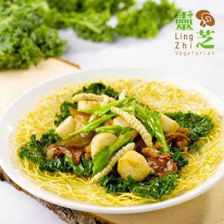 LingZhi - Velocity @Novena