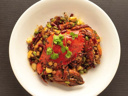 TungLok XiHé Peking Duck @Orchard Central