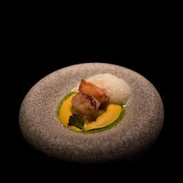 Nox – Dine in the Dark