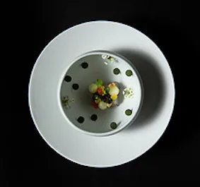 Omakase - Stevens