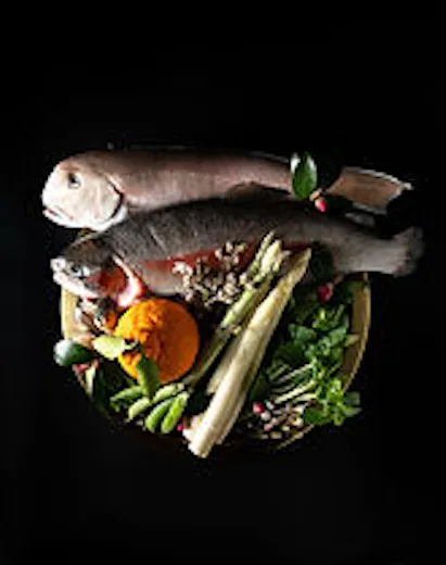 Omakase - Stevens